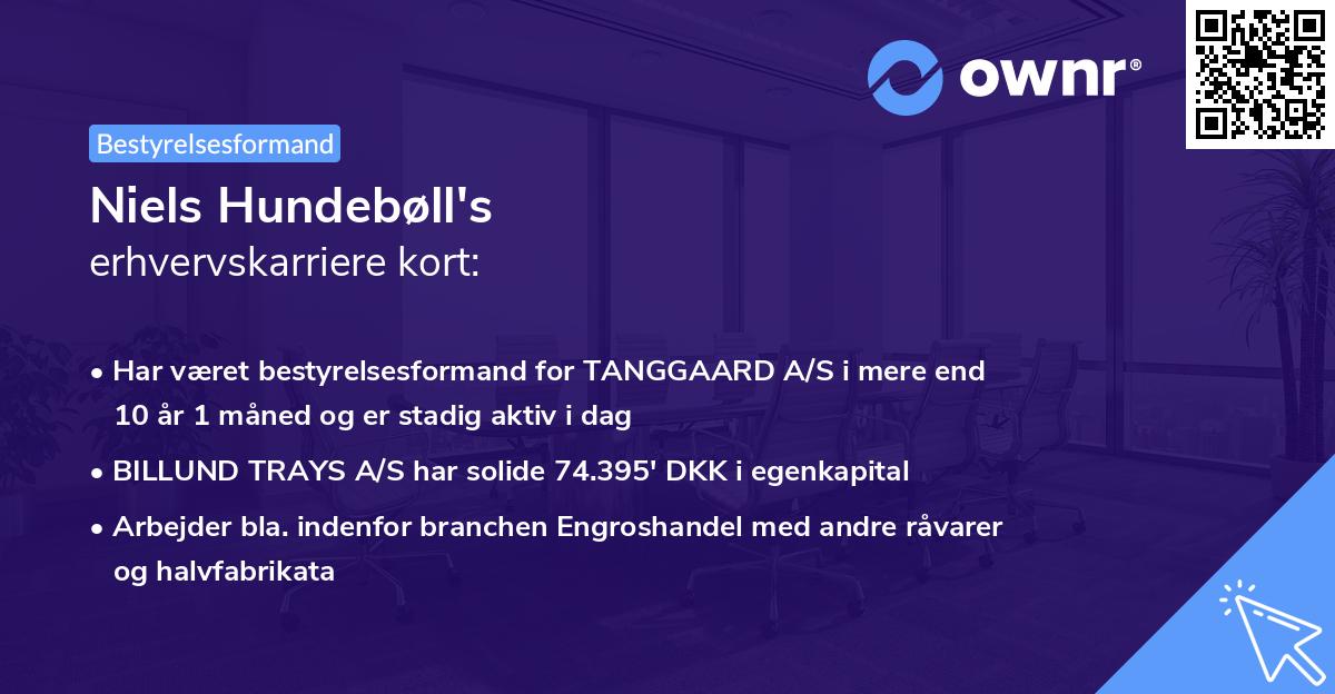 Niels Hundebøll's erhvervskarriere kort