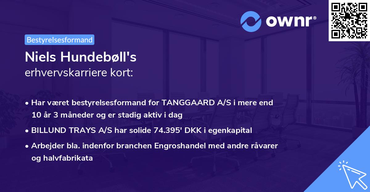 Niels Hundebøll's erhvervskarriere kort