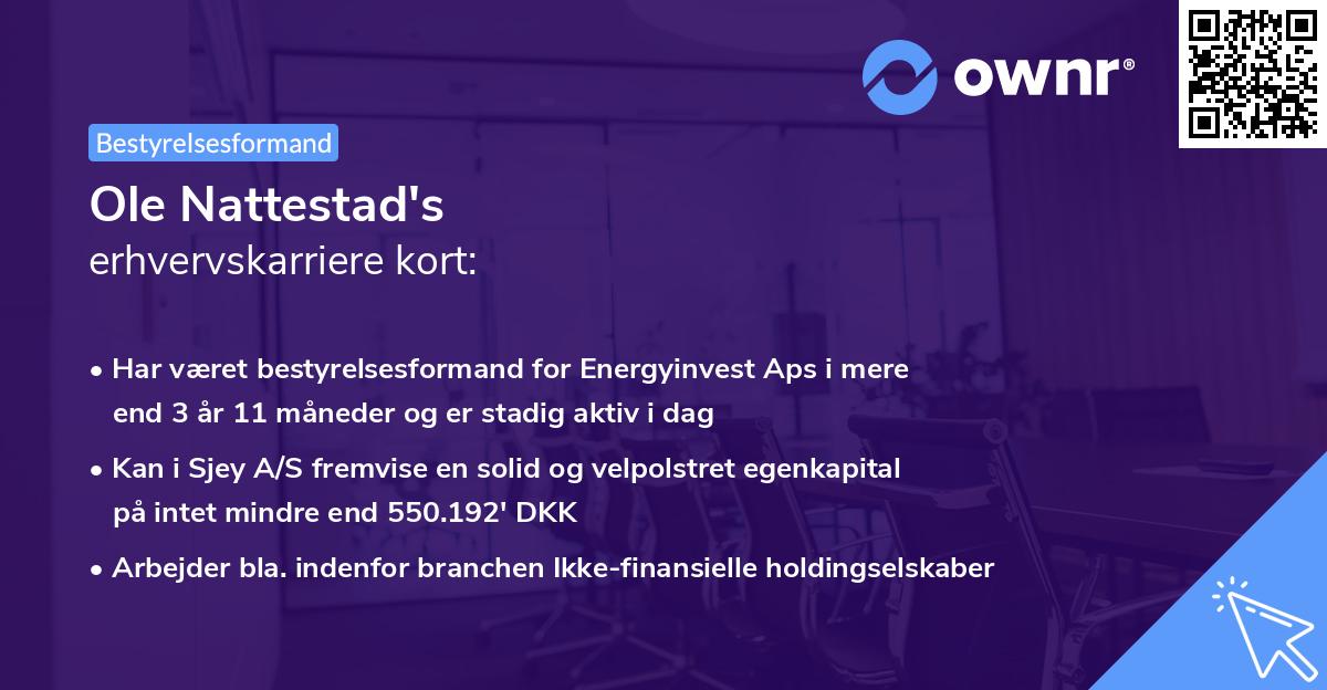 Ole Nattestad's erhvervskarriere kort