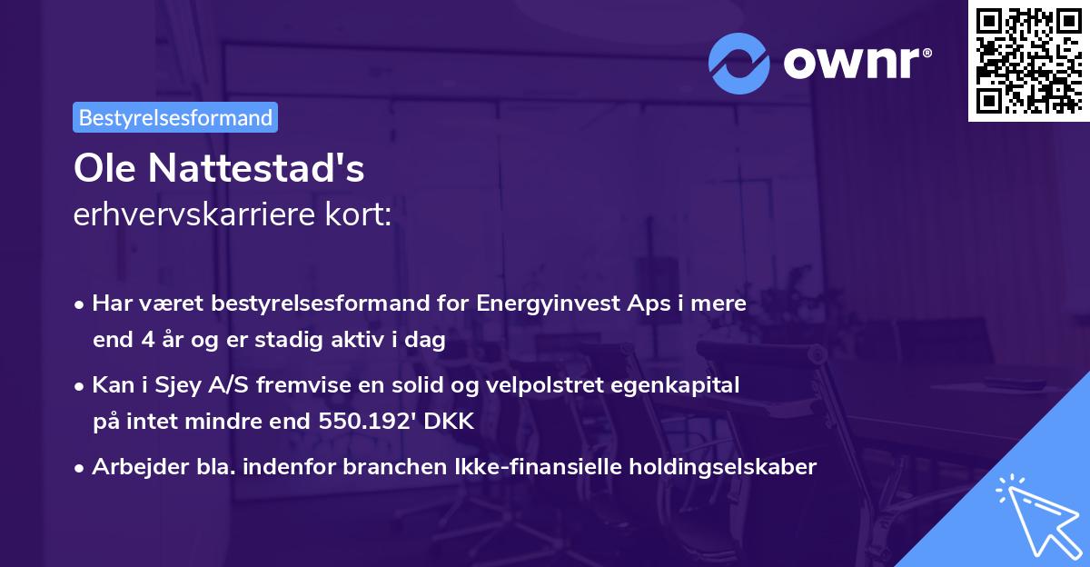 Ole Nattestad's erhvervskarriere kort
