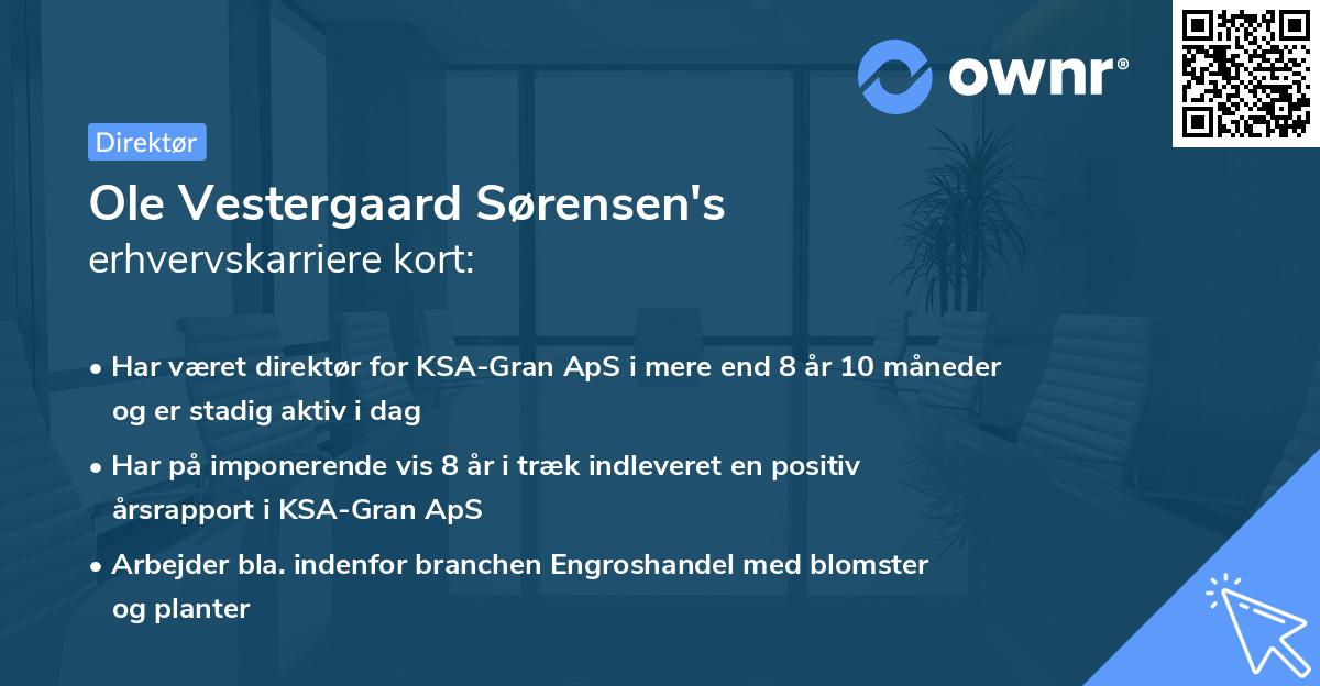 Ole Vestergaard Sørensen's erhvervskarriere kort