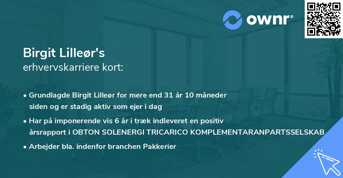 Birgit Lilleør's erhvervskarriere kort