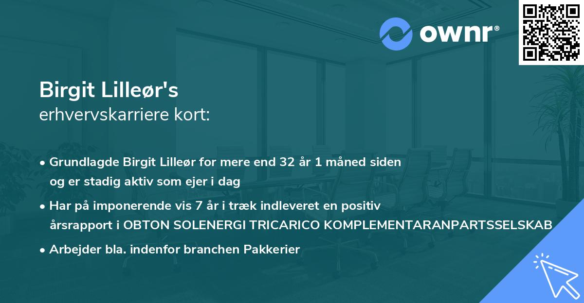 Birgit Lilleør's erhvervskarriere kort