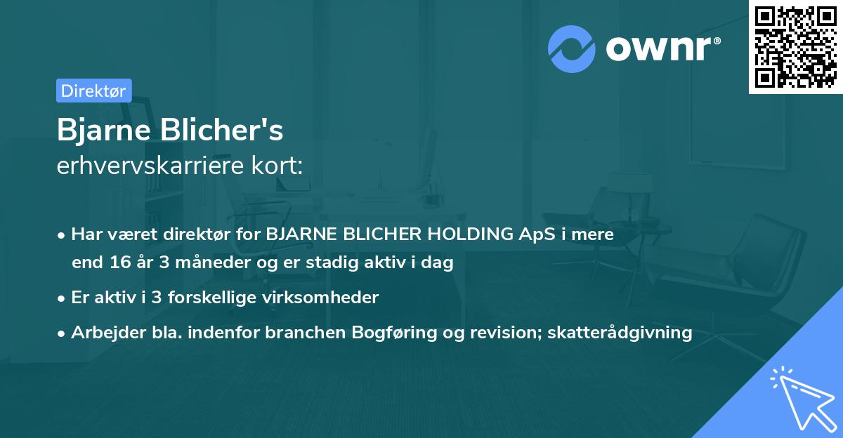 Bjarne Blicher's erhvervskarriere kort