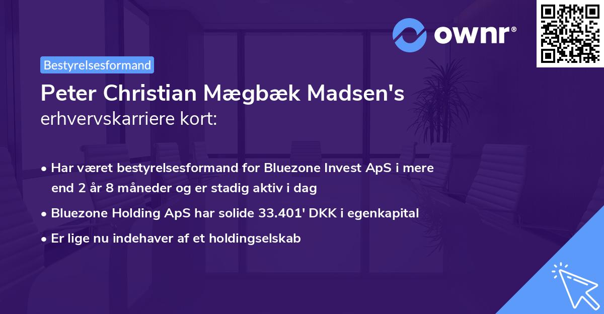 Peter Christian Mægbæk Madsen's erhvervskarriere kort