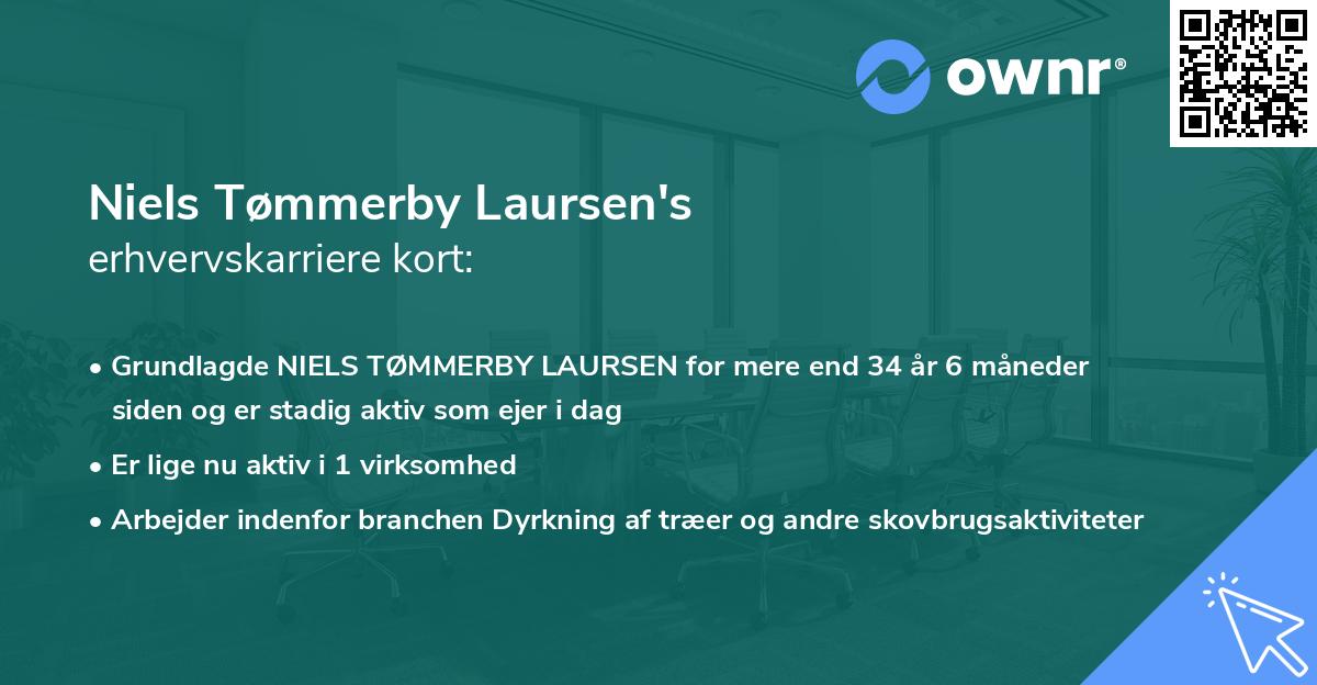Niels Tømmerby Laursen's erhvervskarriere kort