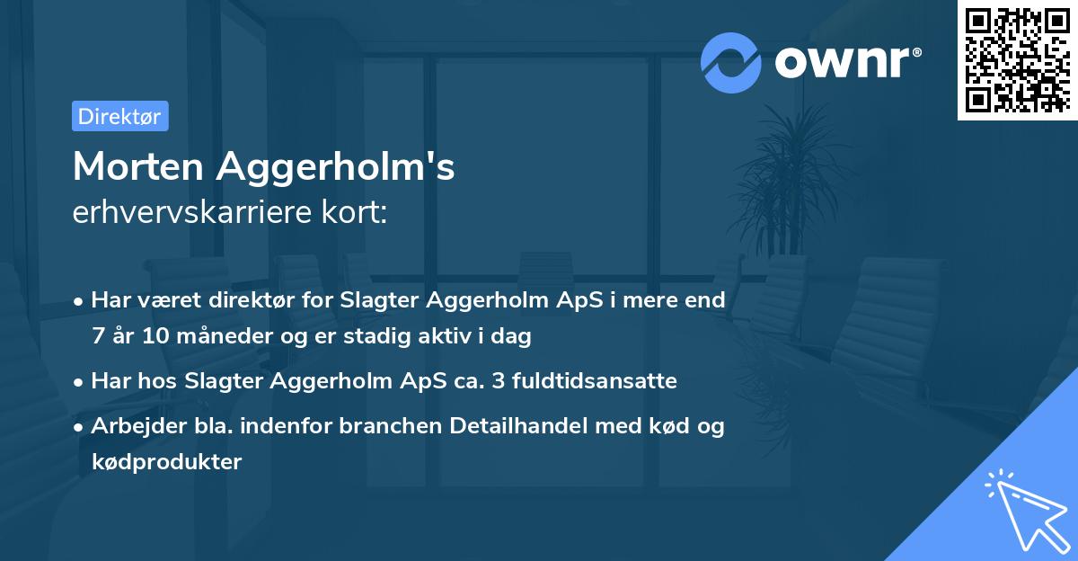 Morten Aggerholm's erhvervskarriere kort