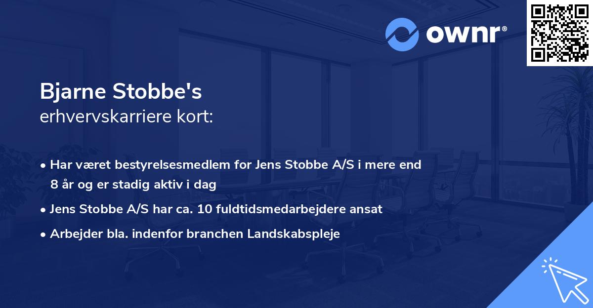 Bjarne Stobbe's erhvervskarriere kort