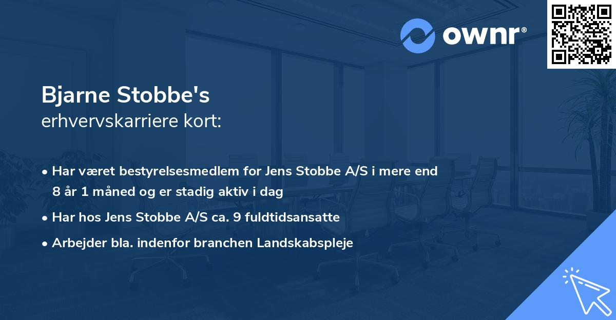 Bjarne Stobbe's erhvervskarriere kort