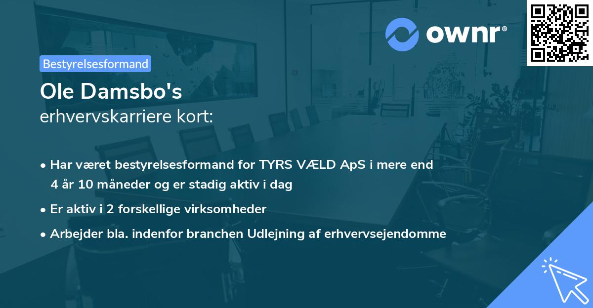Ole Damsbo's erhvervskarriere kort
