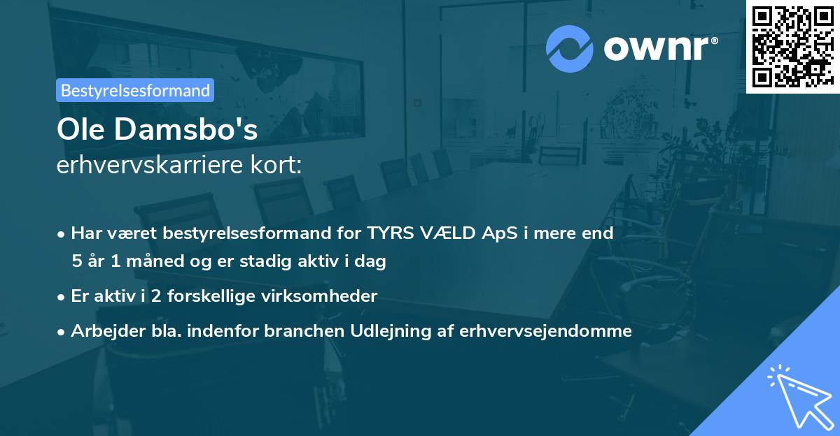Ole Damsbo's erhvervskarriere kort