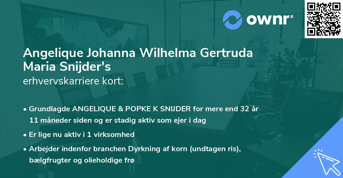 Angelique Johanna Wilhelma Gertruda Maria Snijder's erhvervskarriere kort