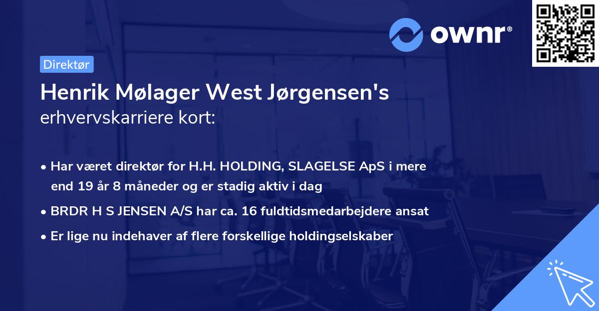 Henrik Mølager West Jørgensen's erhvervskarriere kort