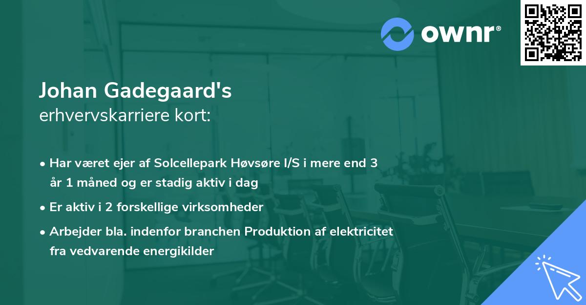 Johan Gadegaard's erhvervskarriere kort
