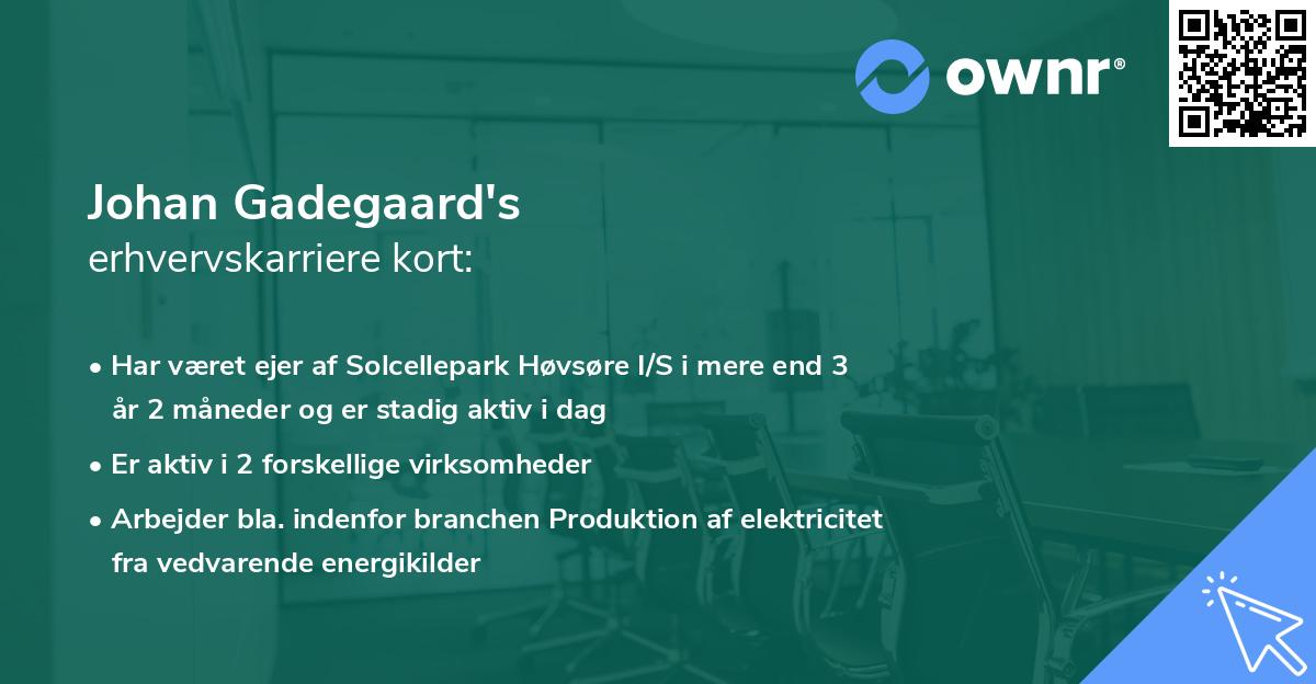 Johan Gadegaard's erhvervskarriere kort