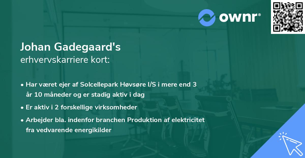 Johan Gadegaard's erhvervskarriere kort