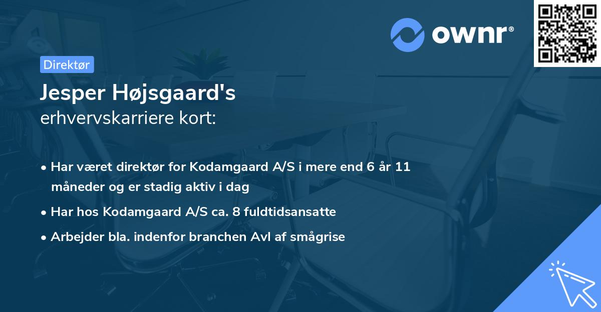 Jesper Højsgaard's erhvervskarriere kort