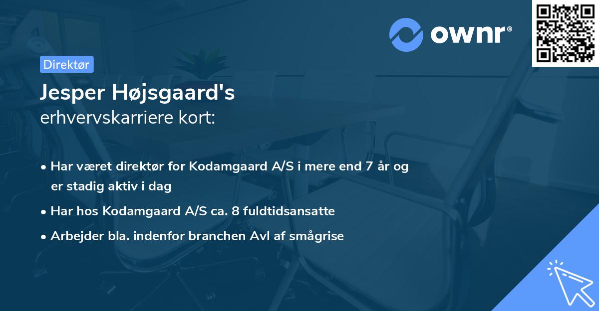 Jesper Højsgaard's erhvervskarriere kort