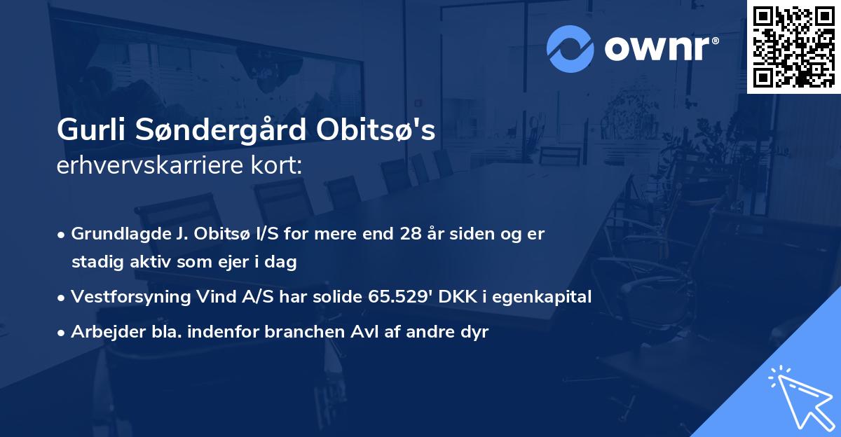 Gurli Søndergård Obitsø's erhvervskarriere kort