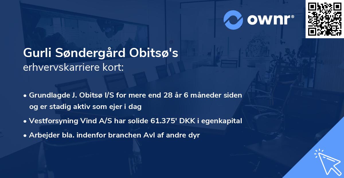 Gurli Søndergård Obitsø's erhvervskarriere kort