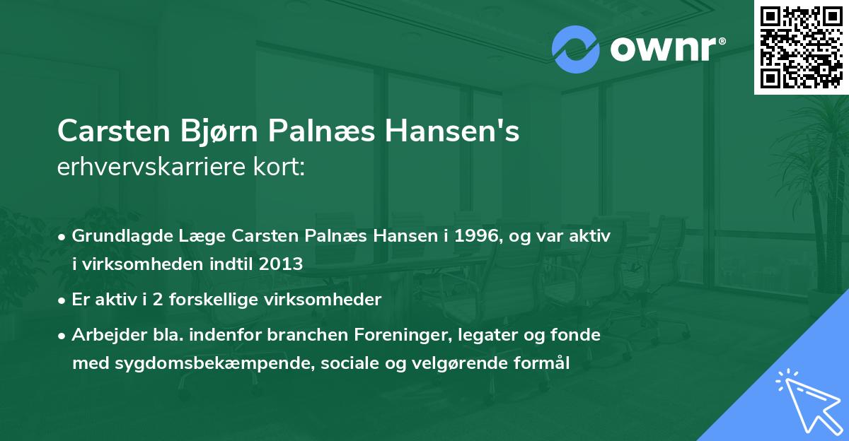 Carsten Bjørn Palnæs Hansen's erhvervskarriere kort