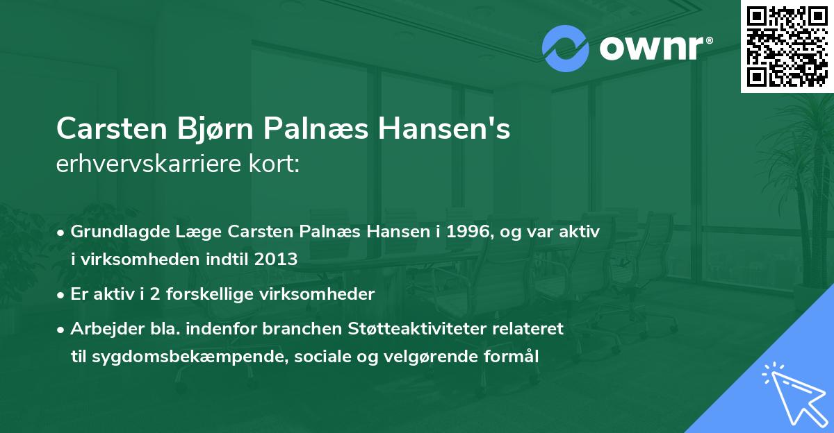 Carsten Bjørn Palnæs Hansen's erhvervskarriere kort