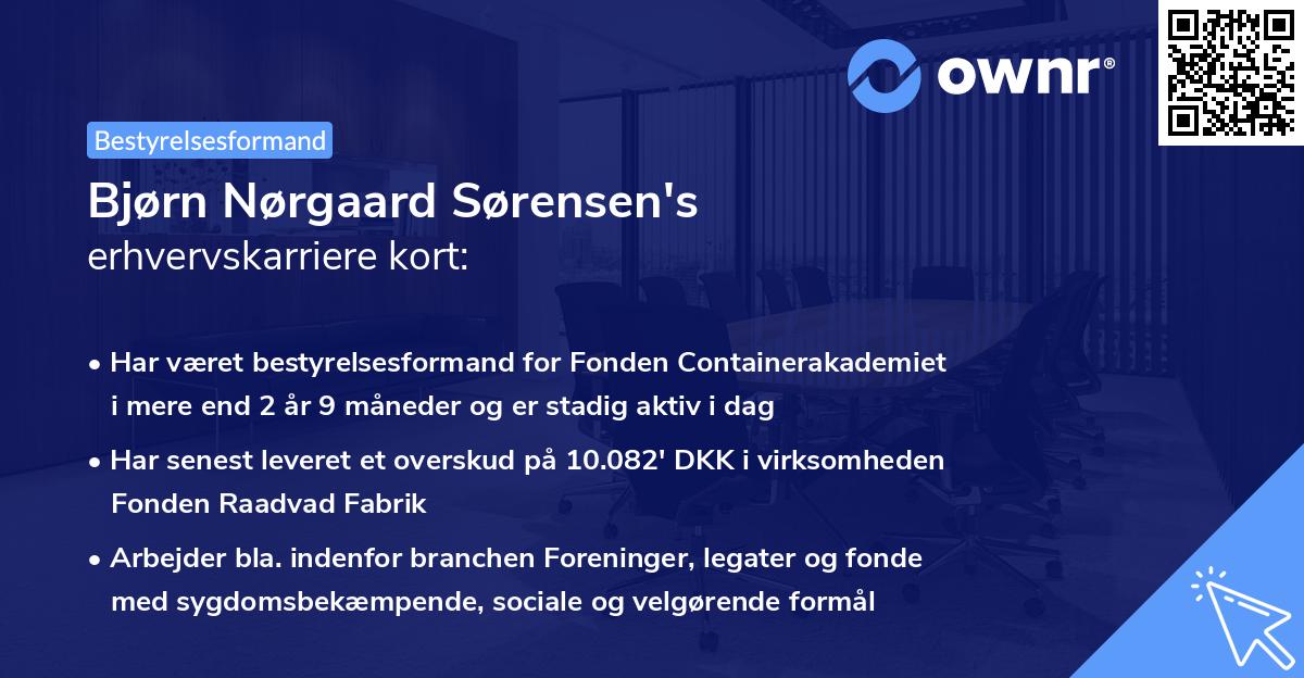 Bjørn Nørgaard Sørensen's erhvervskarriere kort