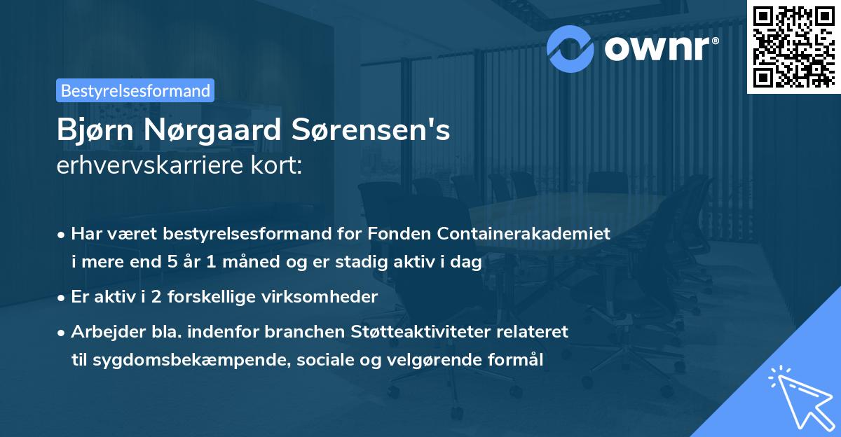 Bjørn Nørgaard Sørensen's erhvervskarriere kort