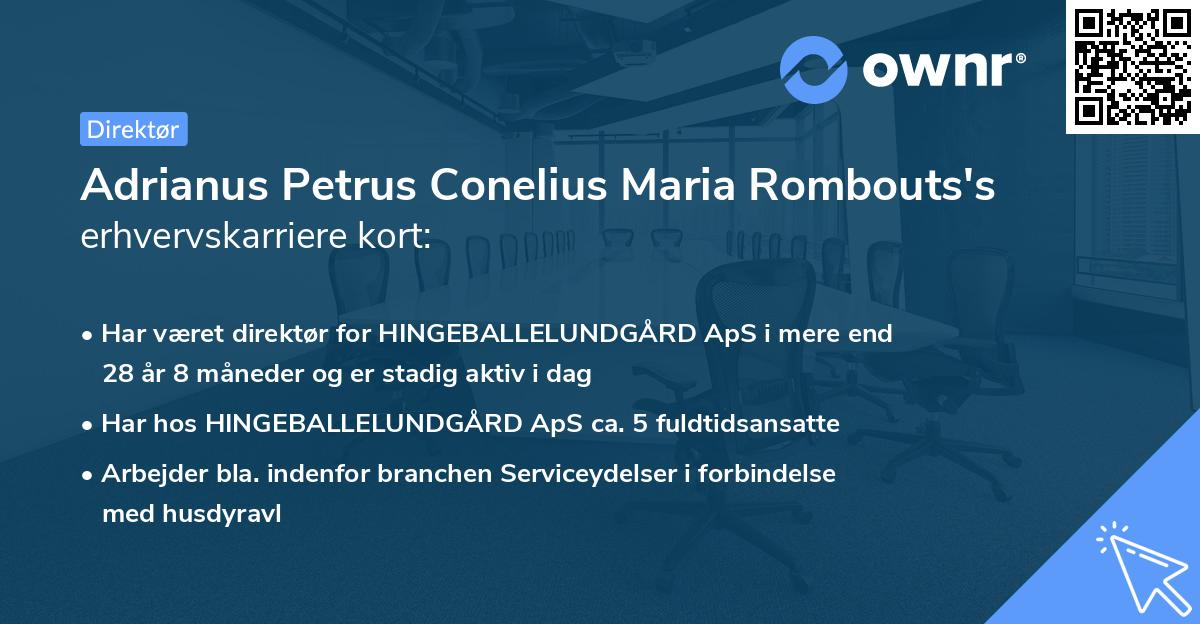 Adrianus Petrus Conelius Maria Rombouts's erhvervskarriere kort