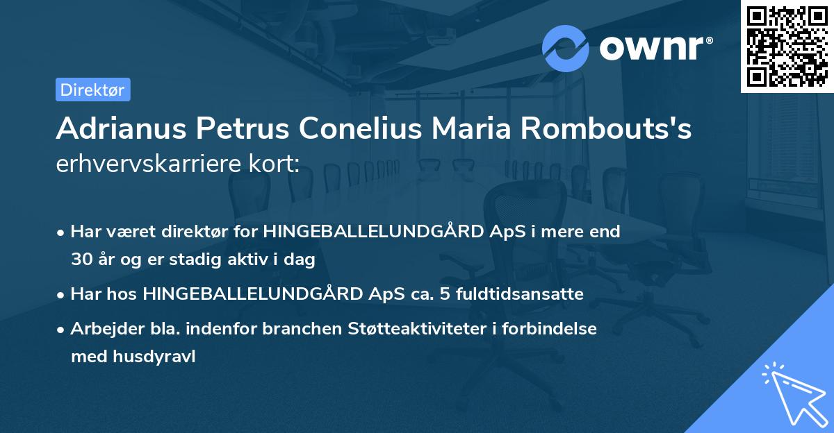Adrianus Petrus Conelius Maria Rombouts's erhvervskarriere kort