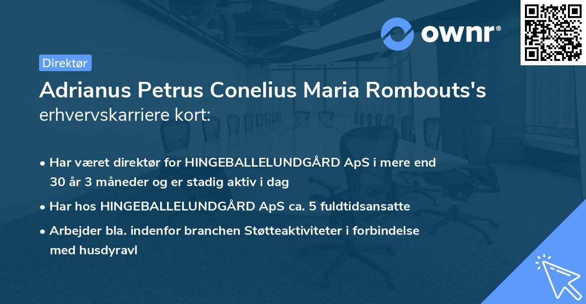 Adrianus Petrus Conelius Maria Rombouts's erhvervskarriere kort