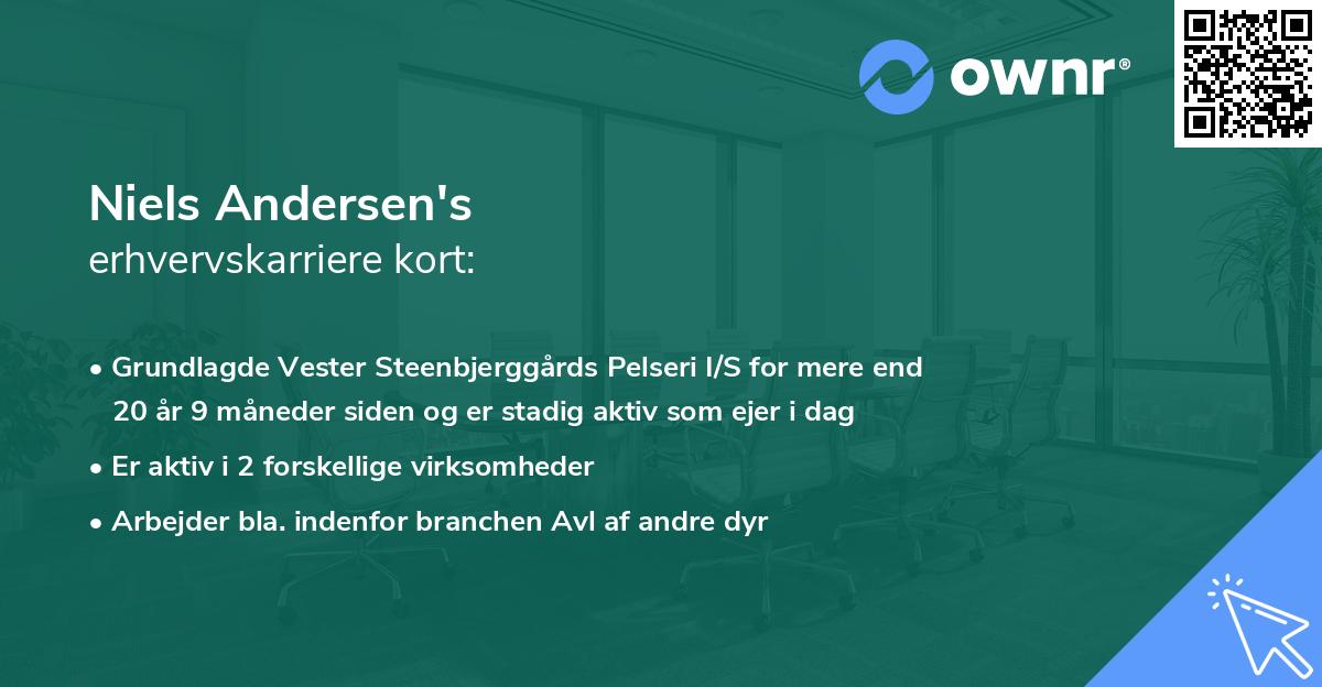 Niels Andersen's erhvervskarriere kort