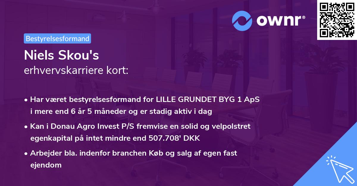 Niels Skou's erhvervskarriere kort