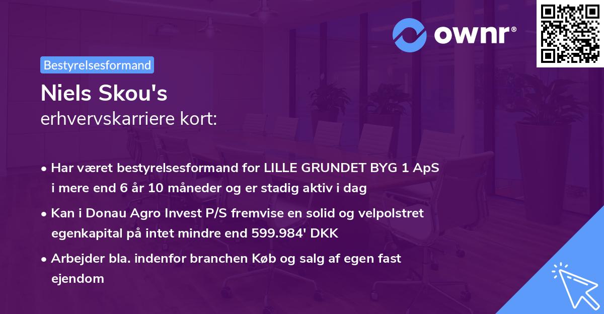 Niels Skou's erhvervskarriere kort