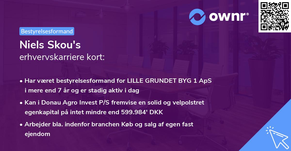 Niels Skou's erhvervskarriere kort