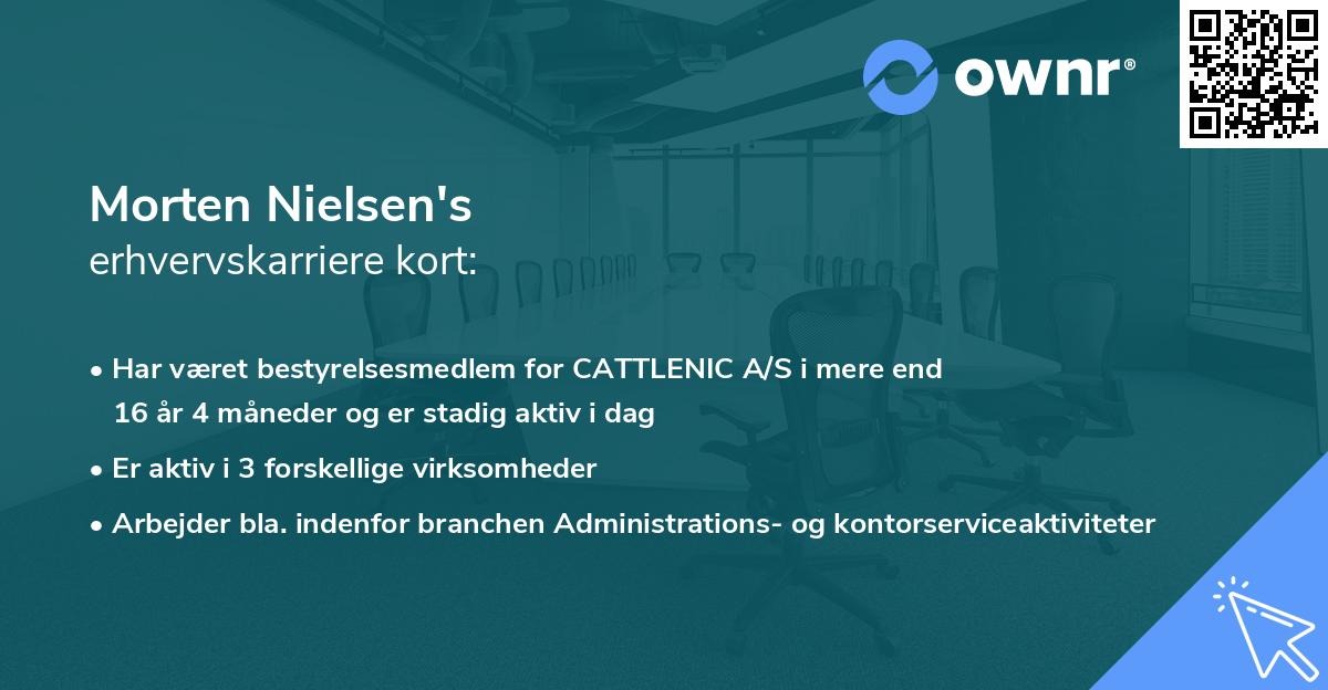 Morten Nielsen's erhvervskarriere kort