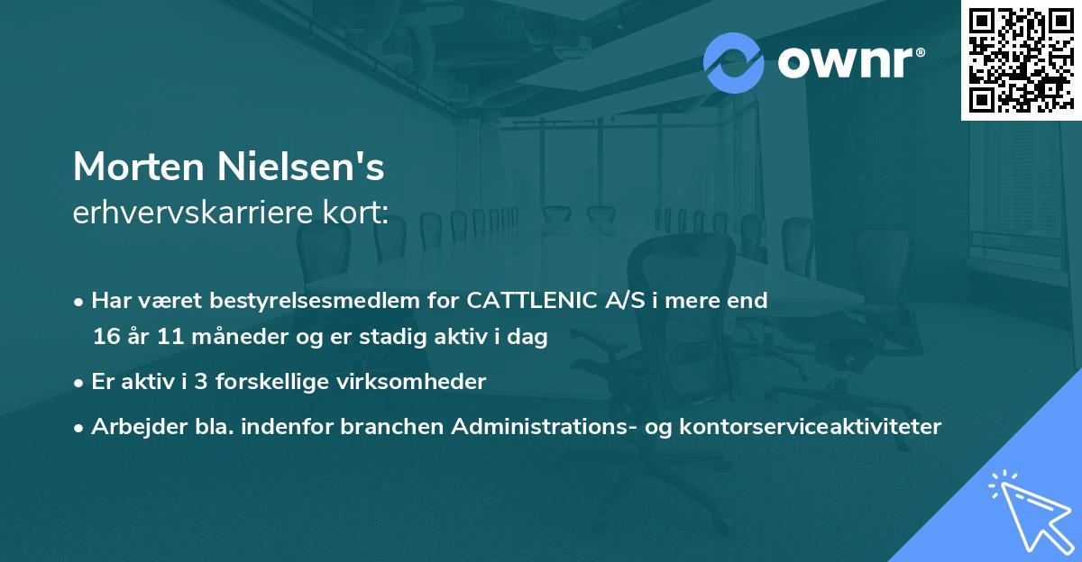 Morten Nielsen's erhvervskarriere kort
