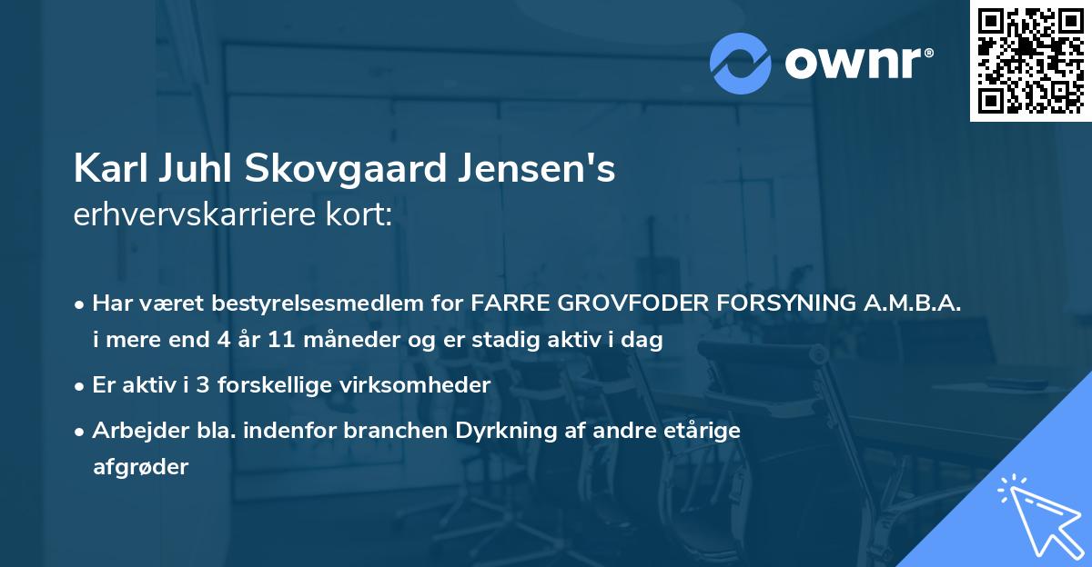 Karl Juhl Skovgaard Jensen's erhvervskarriere kort