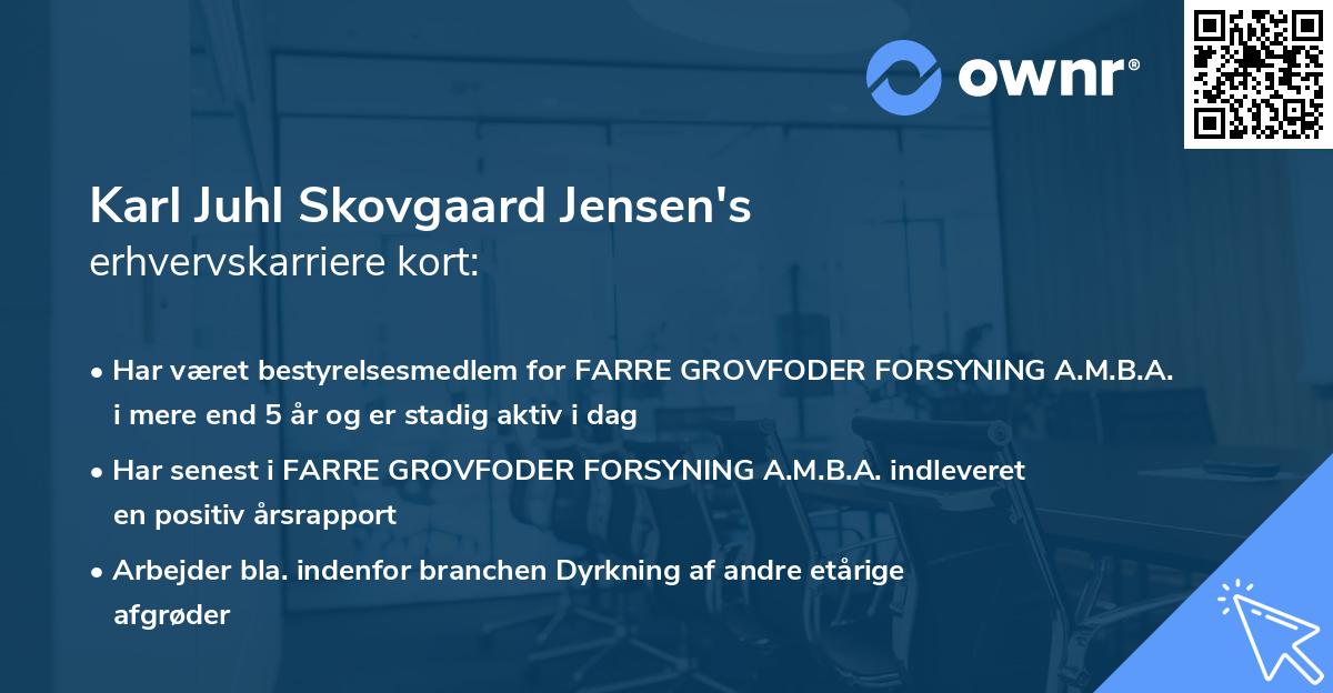 Karl Juhl Skovgaard Jensen's erhvervskarriere kort