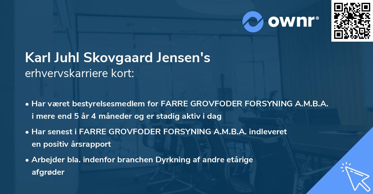 Karl Juhl Skovgaard Jensen's erhvervskarriere kort