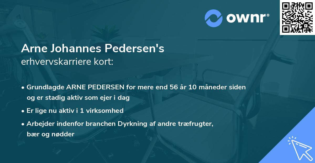 Arne Johannes Pedersen's erhvervskarriere kort