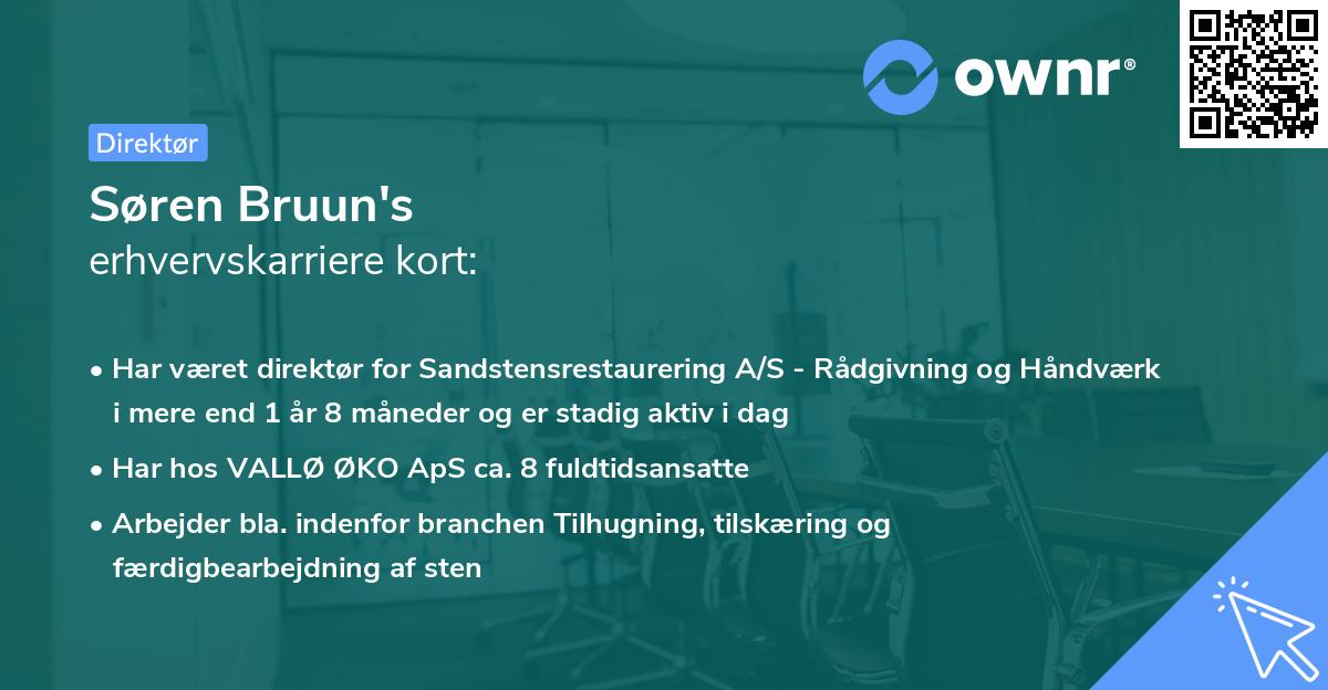 Søren Bruun's erhvervskarriere kort