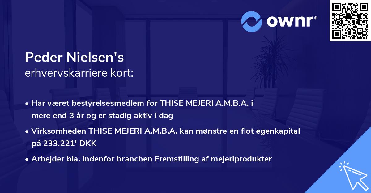 Peder Nielsen's erhvervskarriere kort