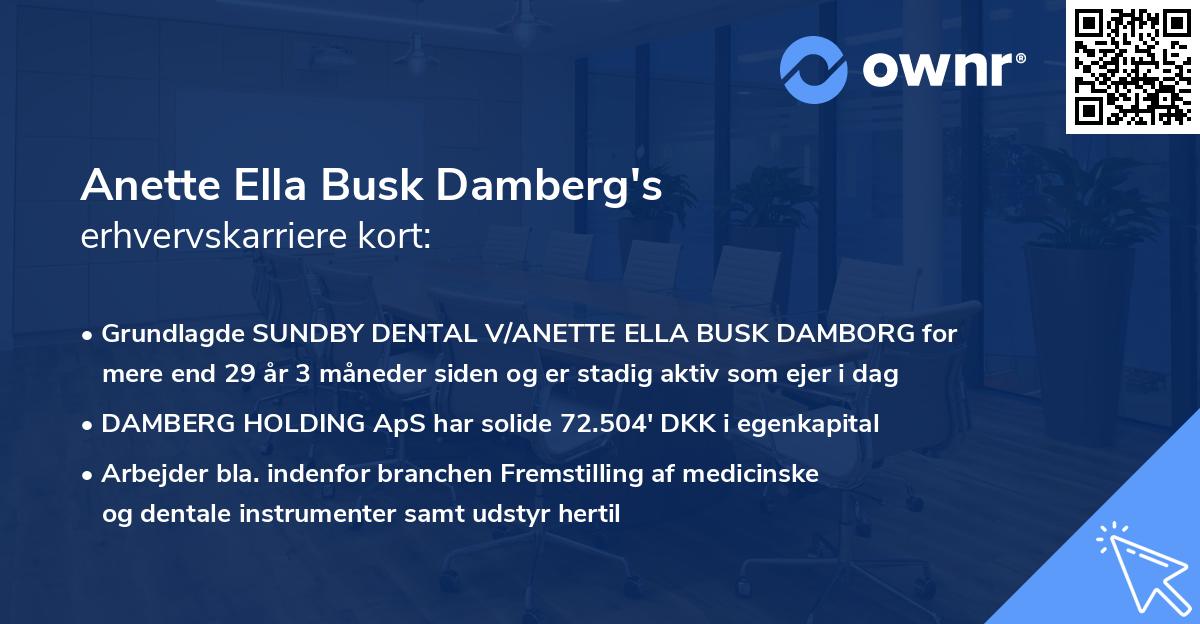 Anette Ella Busk Damberg's erhvervskarriere kort
