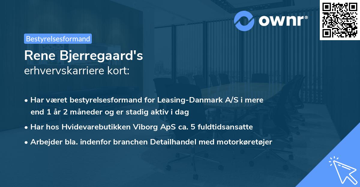 Rene Bjerregaard's erhvervskarriere kort