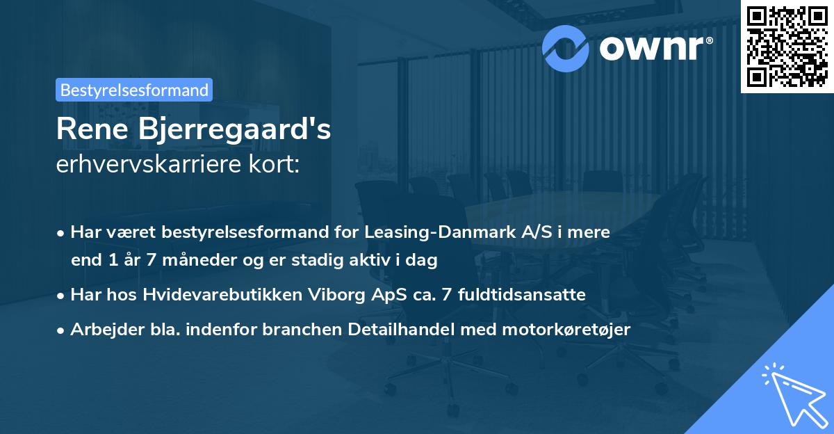 Rene Bjerregaard's erhvervskarriere kort
