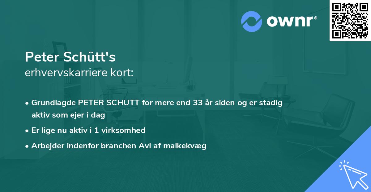 Peter Schütt's erhvervskarriere kort