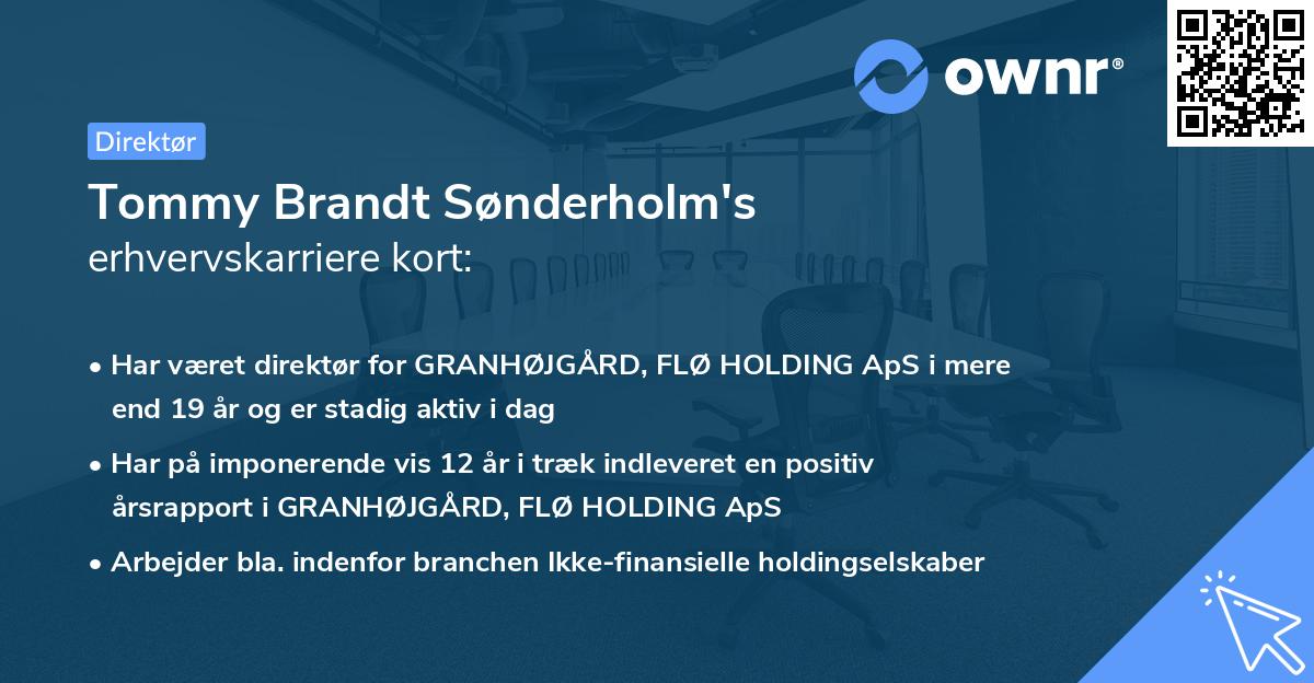 Tommy Brandt Sønderholm's erhvervskarriere kort