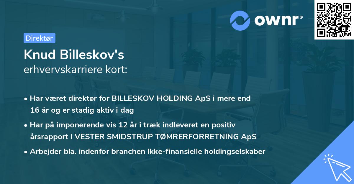 Knud Billeskov's erhvervskarriere kort