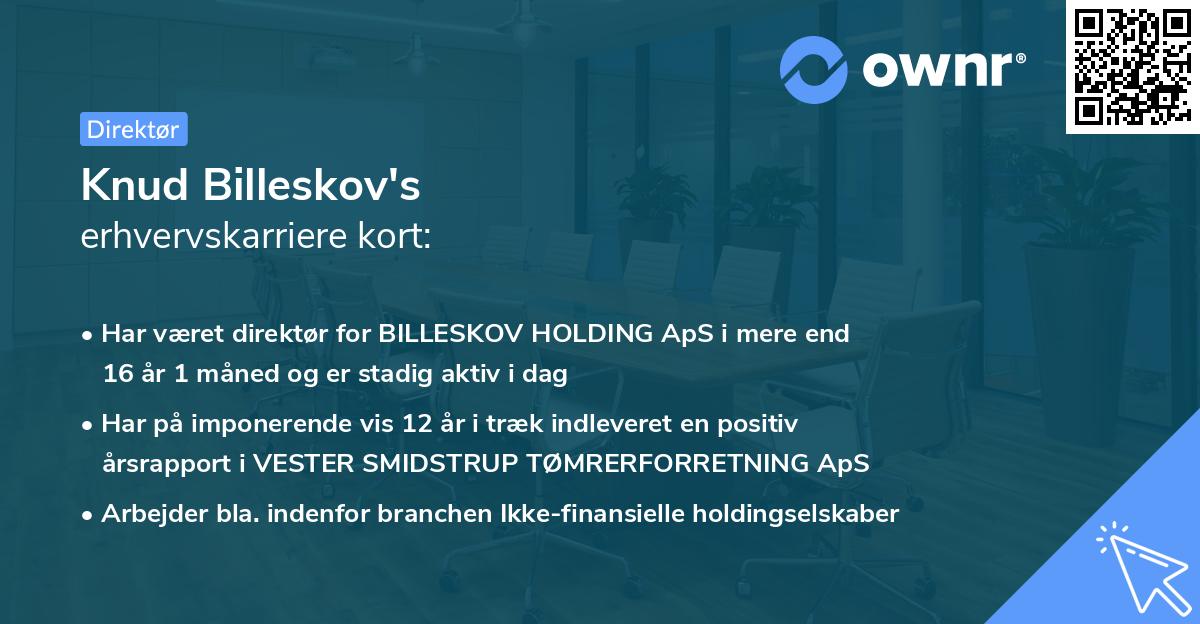 Knud Billeskov's erhvervskarriere kort